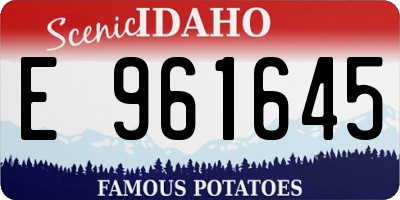 ID license plate E961645