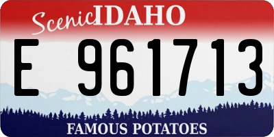 ID license plate E961713