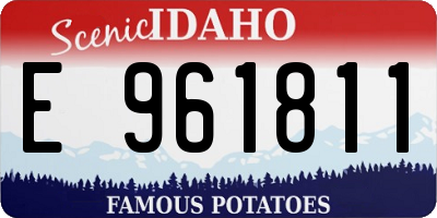 ID license plate E961811