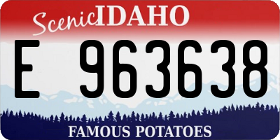 ID license plate E963638