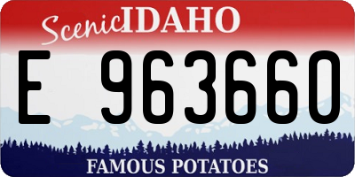 ID license plate E963660