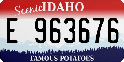 ID license plate E963676