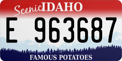 ID license plate E963687