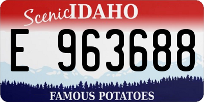 ID license plate E963688