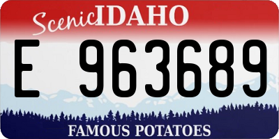 ID license plate E963689
