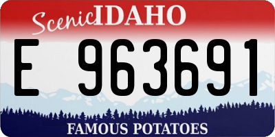 ID license plate E963691