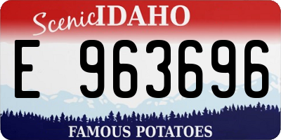 ID license plate E963696