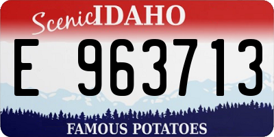 ID license plate E963713