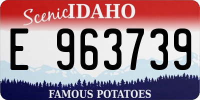ID license plate E963739