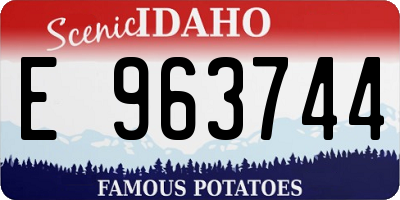 ID license plate E963744