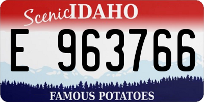 ID license plate E963766