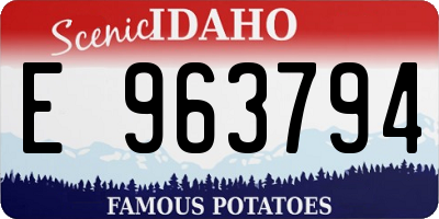 ID license plate E963794