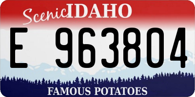 ID license plate E963804