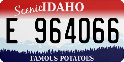 ID license plate E964066