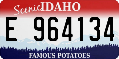 ID license plate E964134