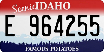 ID license plate E964255