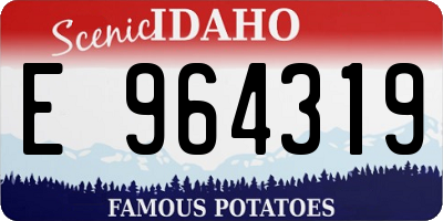 ID license plate E964319