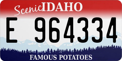 ID license plate E964334
