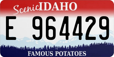 ID license plate E964429