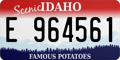 ID license plate E964561