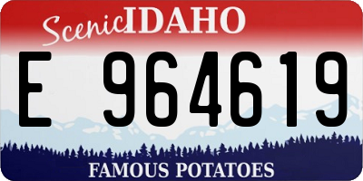 ID license plate E964619