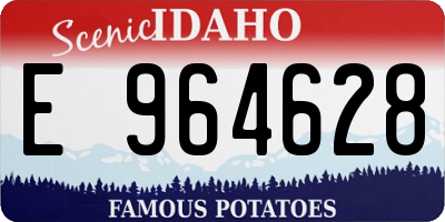ID license plate E964628