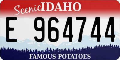 ID license plate E964744