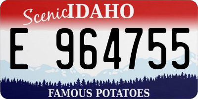 ID license plate E964755