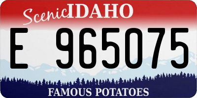 ID license plate E965075