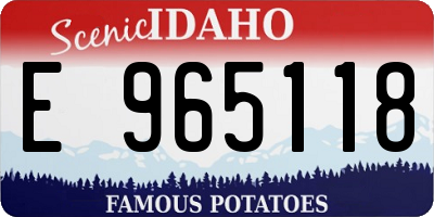 ID license plate E965118