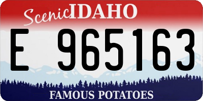ID license plate E965163
