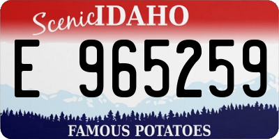 ID license plate E965259
