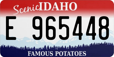 ID license plate E965448