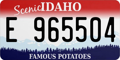 ID license plate E965504