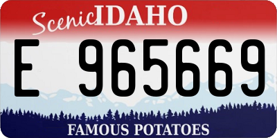 ID license plate E965669