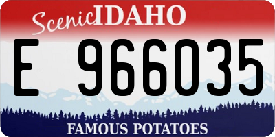 ID license plate E966035