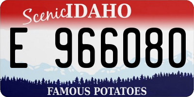 ID license plate E966080