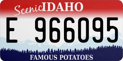 ID license plate E966095