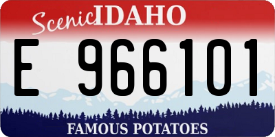 ID license plate E966101