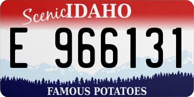 ID license plate E966131