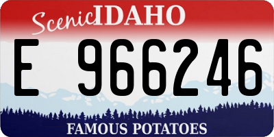 ID license plate E966246