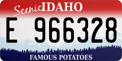 ID license plate E966328