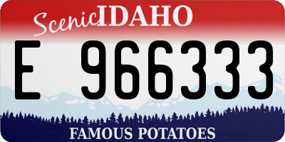 ID license plate E966333