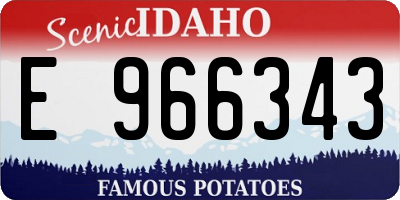 ID license plate E966343