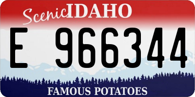 ID license plate E966344