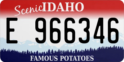 ID license plate E966346
