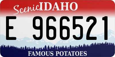 ID license plate E966521