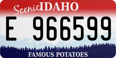 ID license plate E966599
