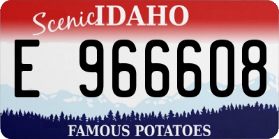 ID license plate E966608