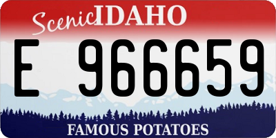 ID license plate E966659